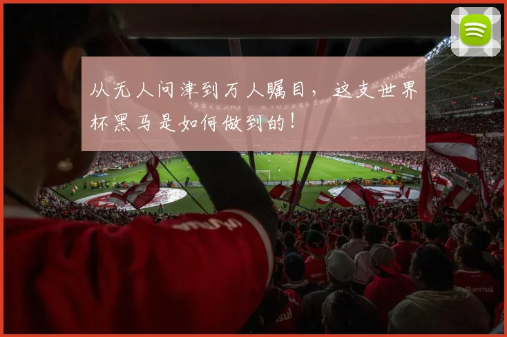 从无人问津到万人瞩目，这支世界杯黑马是如何做到的！